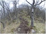 Tržič - Veliki vrh above Završnik